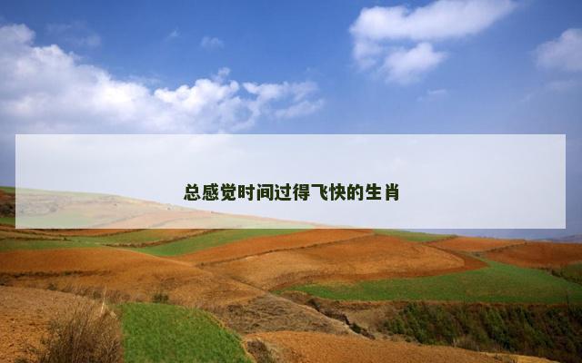 总感觉时间过得飞快的生肖
