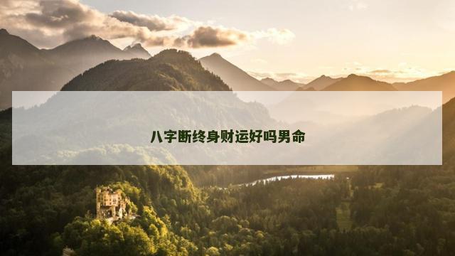 八字断终身财运好吗男命