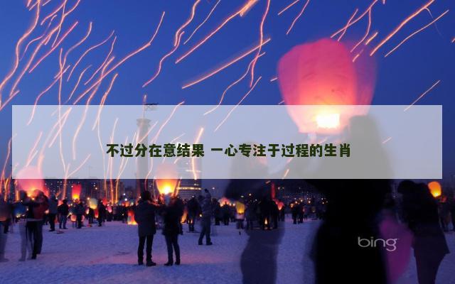 不过分在意结果 一心专注于过程的生肖