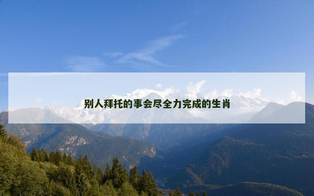 别人拜托的事会尽全力完成的生肖