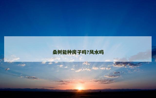 桑树能种房子吗?风水吗