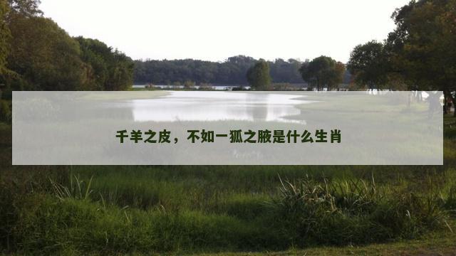 千羊之皮，不如一狐之腋是什么生肖