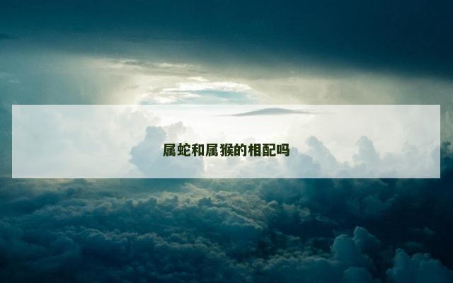 属蛇和属猴的相配吗