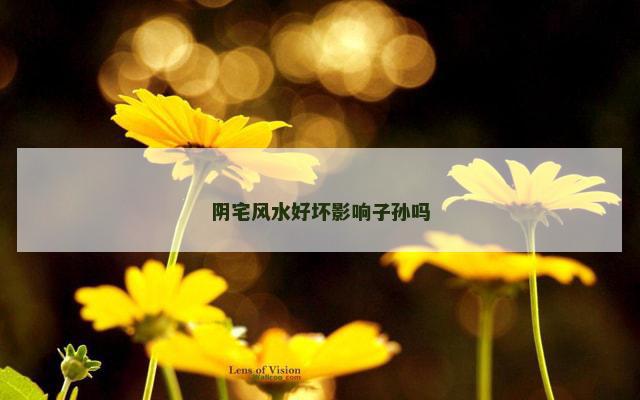 阴宅风水好坏影响子孙吗
