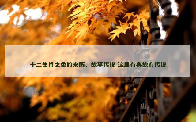 十二生肖之兔的来历、故事传说 这里有典故有传说