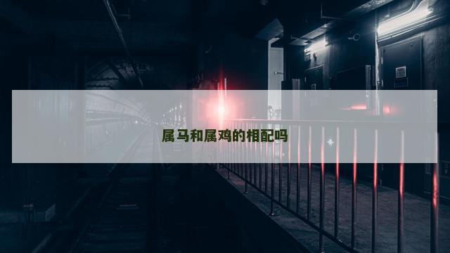 属马和属鸡的相配吗