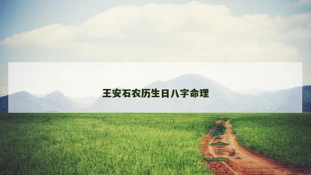 王安石农历生日八字命理