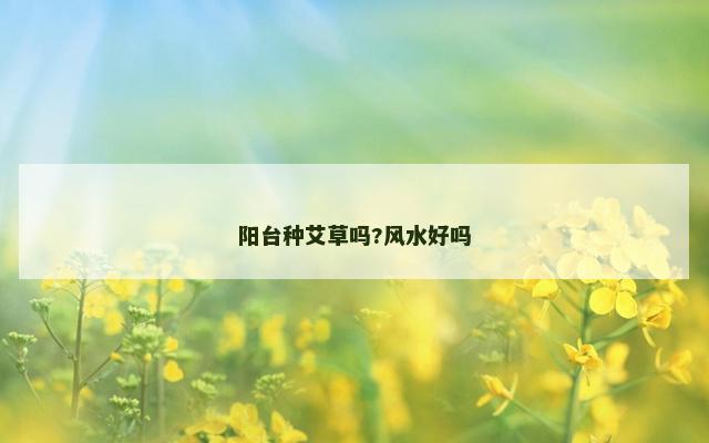 阳台种艾草吗?风水好吗