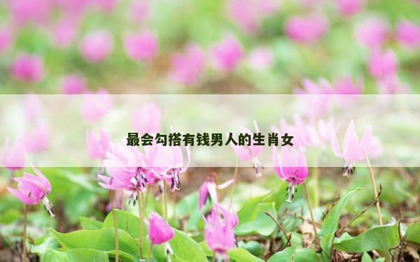 最会勾搭有钱男人的生肖女