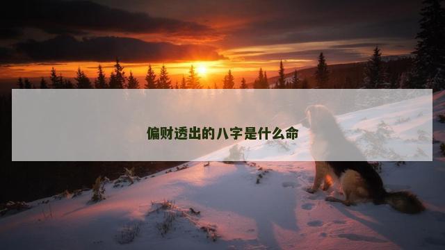 偏财透出的八字是什么命