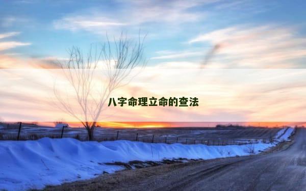 八字命理立命的查法