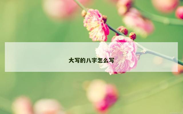大写的八字怎么写