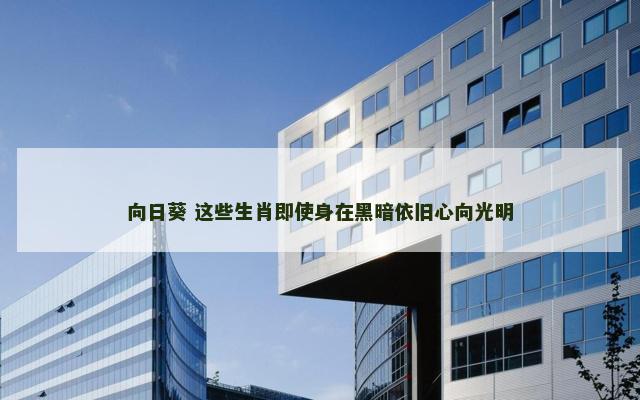 向日葵 这些生肖即使身在黑暗依旧心向光明
