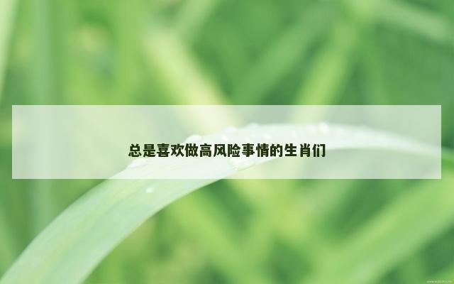 总是喜欢做高风险事情的生肖们