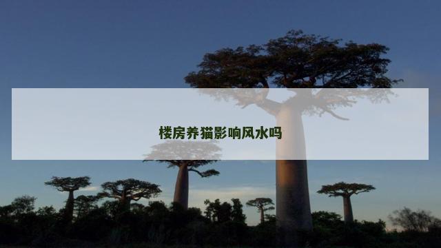 楼房养猫影响风水吗