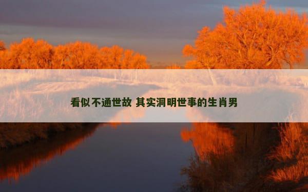 看似不通世故 其实洞明世事的生肖男