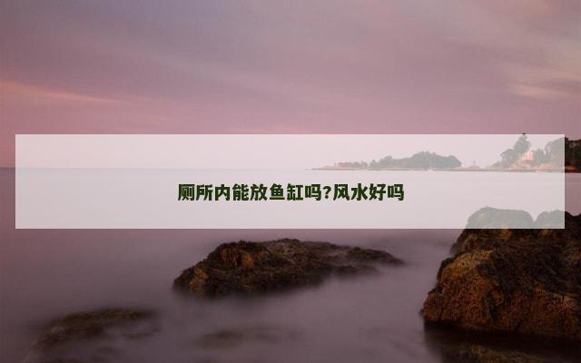 厕所内能放鱼缸吗?风水好吗