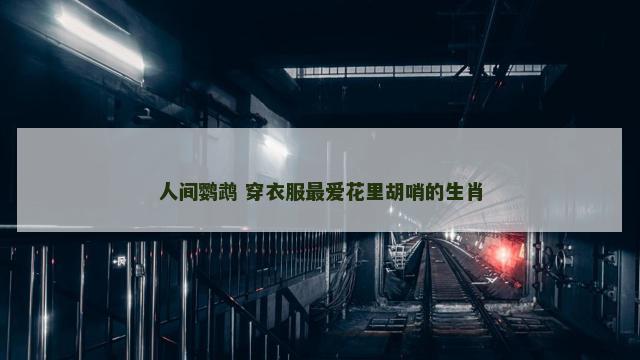 人间鹦鹉 穿衣服最爱花里胡哨的生肖
