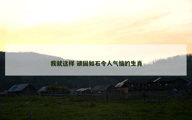 我就这样 顽固如石令人气恼的生肖