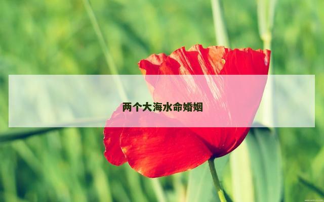 两个大海水命婚姻