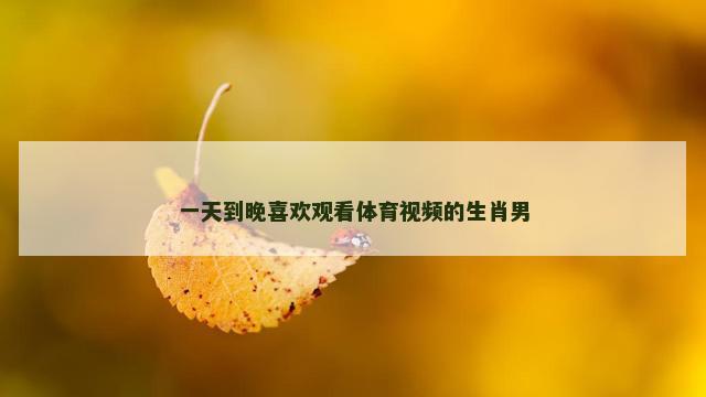 一天到晚喜欢观看体育视频的生肖男