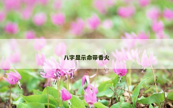 八字显示命带香火