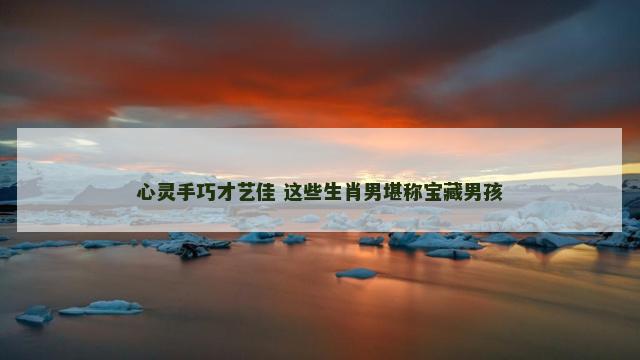 心灵手巧才艺佳 这些生肖男堪称宝藏男孩