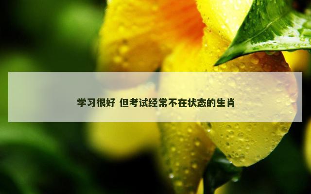 学习很好 但考试经常不在状态的生肖
