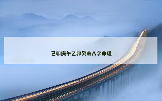 己卯庚午乙卯癸未八字命理