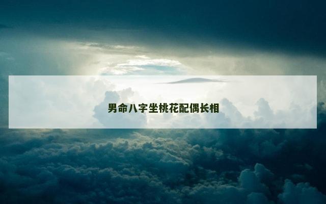 男命八字坐桃花配偶长相