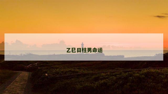 乙巳日柱男命运