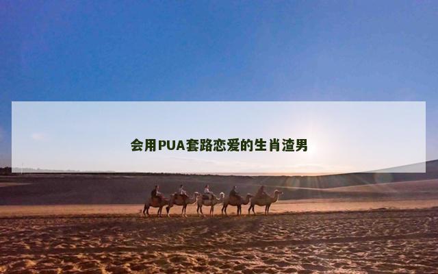 会用PUA套路恋爱的生肖渣男