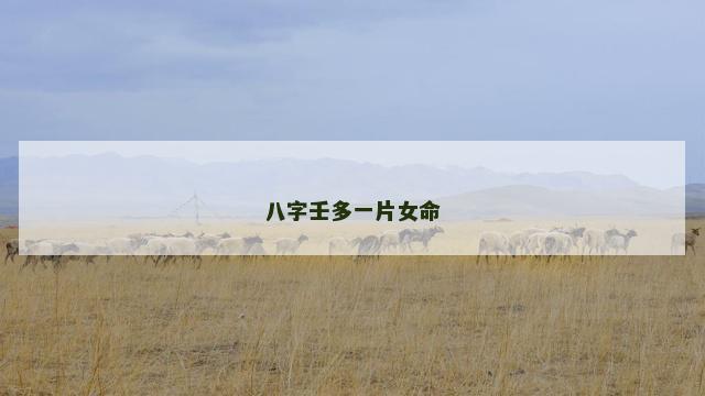 八字壬多一片女命
