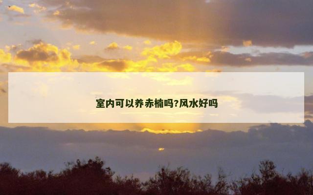 室内可以养赤楠吗?风水好吗