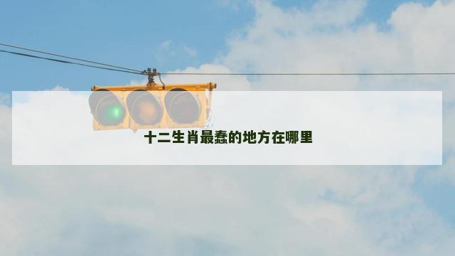 十二生肖最蠢的地方在哪里