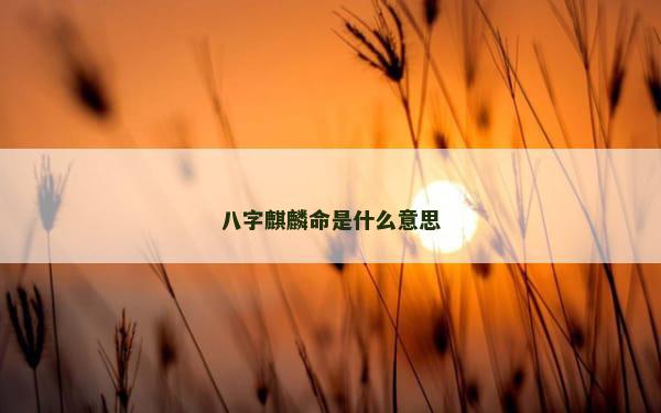 八字麒麟命是什么意思