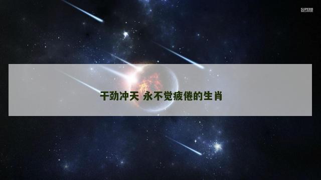 干劲冲天 永不觉疲倦的生肖