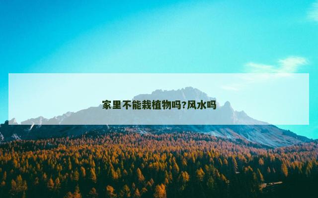 家里不能栽植物吗?风水吗