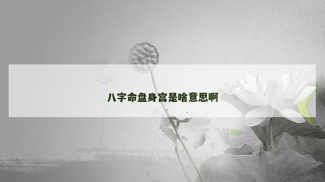 八字命盘身宫是啥意思啊