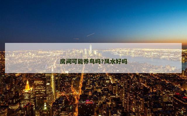 房间可能养鸟吗?风水好吗