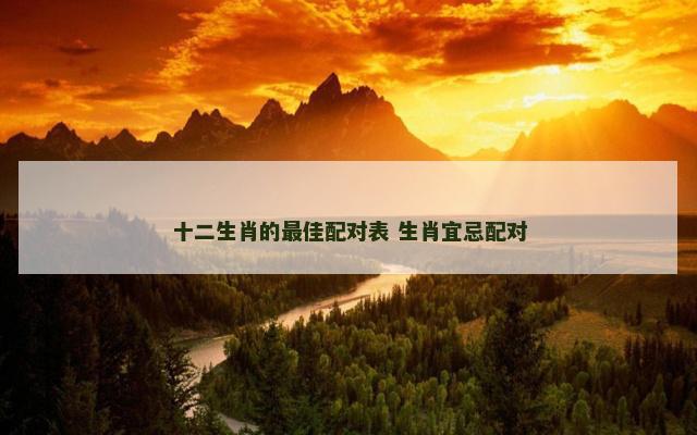 十二生肖的最佳配对表 生肖宜忌配对