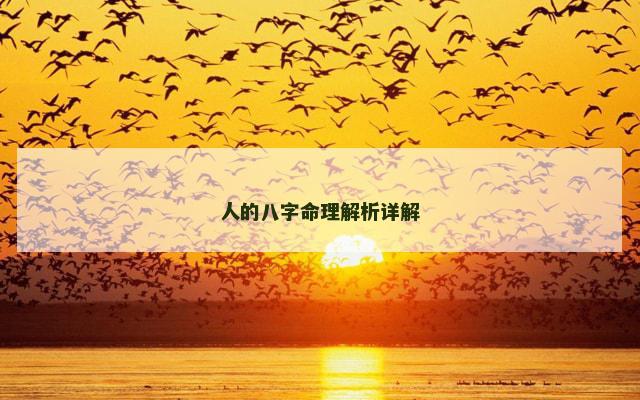 人的八字命理解析详解