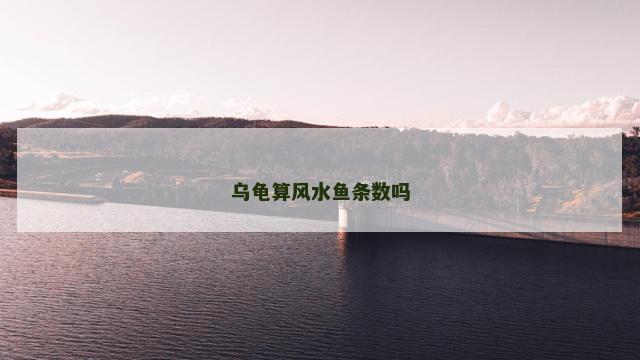 乌龟算风水鱼条数吗