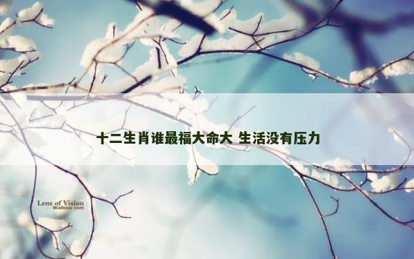 十二生肖谁最福大命大 生活没有压力