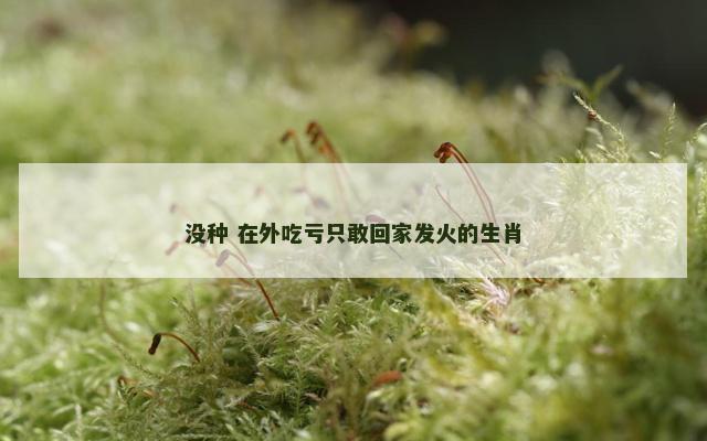 没种 在外吃亏只敢回家发火的生肖