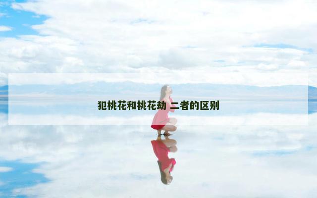 犯桃花和桃花劫 二者的区别