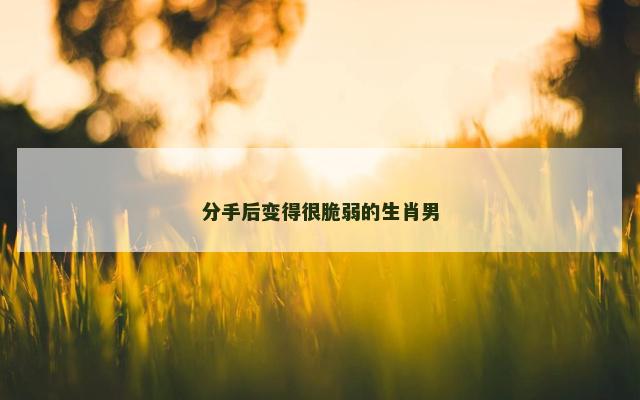 分手后变得很脆弱的生肖男