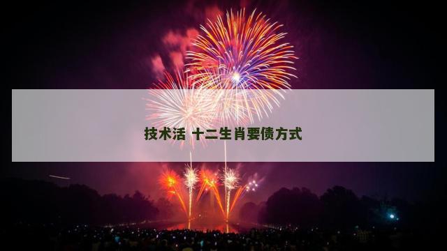 技术活 十二生肖要债方式