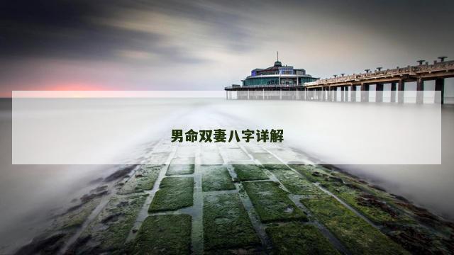 男命双妻八字详解