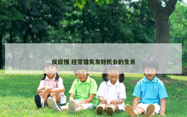 反应慢 经常错失发财机会的生肖